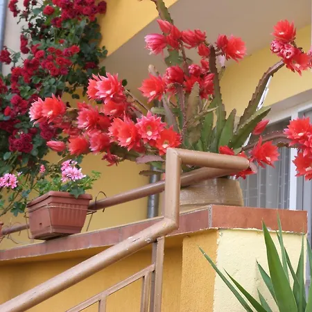 Къща за гости Stoyanovi